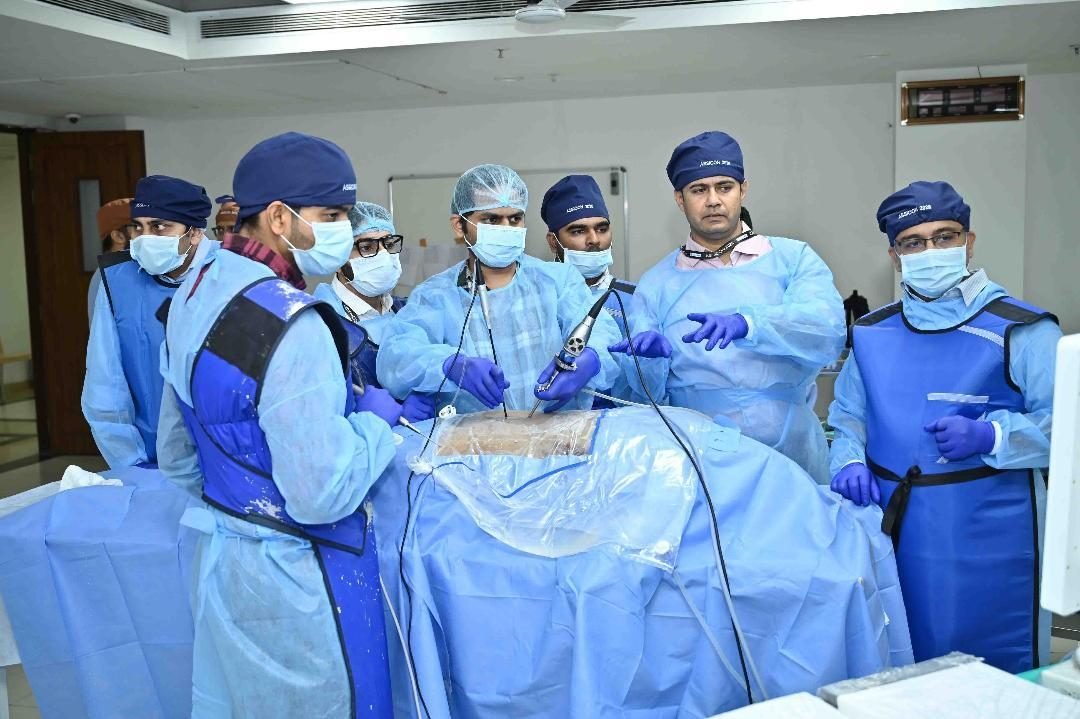 Cadaver workshop training session